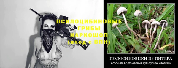 героин Алексин