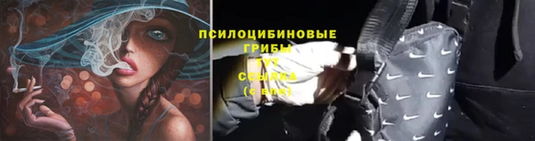 героин Алексин