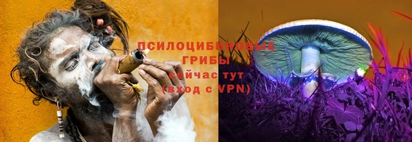 героин Алексин