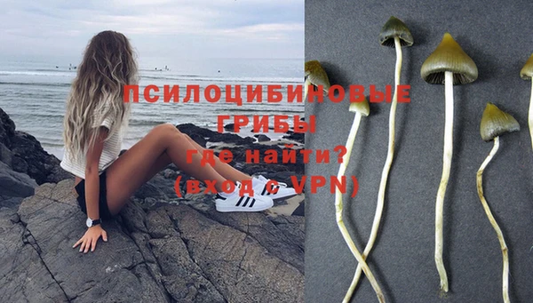 дживик Алексеевка